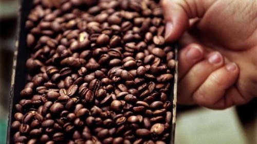 Monsoon Malabar Roasted Coffee Beans