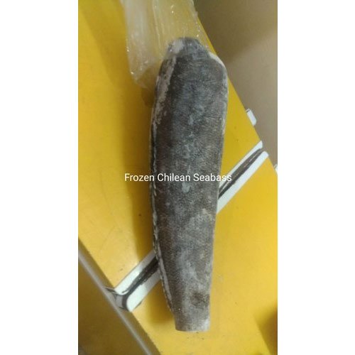 Frozen Chilean Sea Bass, Packaging Type : Packet