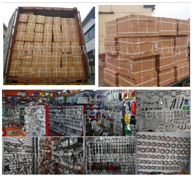 Packaging Color Box Carton Card Accept Custom