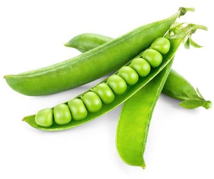 Natural Fresh Green Peas, for Human Consumption, Packaging Type : Gunny Bag