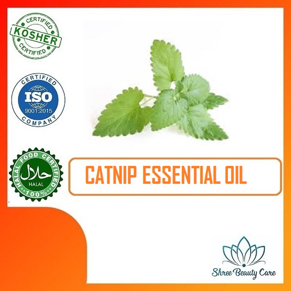 Catnip Essential oil, for Aromatherapy, Certification : HALAL KOSHER