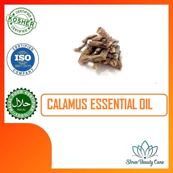 Calamus Essential Oil, for Aromatherapy, Cosmetic, Purity : 100%
