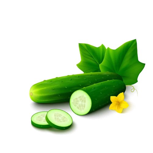 Cucumber Carrier Oil, for Aromatherapy, Packaging Size : 1kg, 5kg, 10kg, 15kg, 25kg, 180kg, etc.