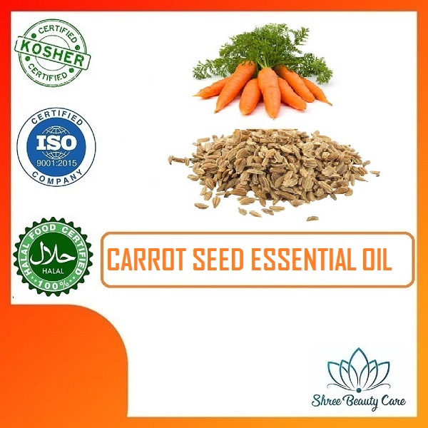 Carrot Seed Essential oil