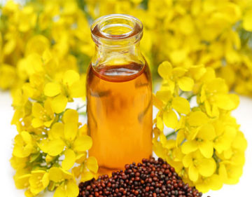 mustard oil