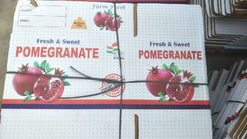 Printed Corrugated Board Pomegranate Packaging Box, Size : Multisize