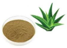 Organic Barbados Aloe Extract, for Medicinal, Packaging Type : Depends on Quantity