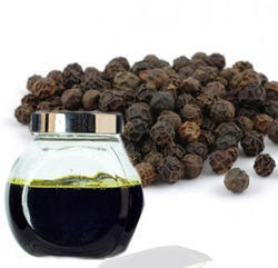 Black Pepper Oleoresin, Packaging Type : Depends on Quantity