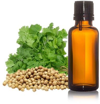 Coriander Oil, for Medicine, Cooking, Packaging Type : Depends on Quantity