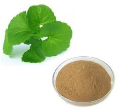 Gotu Kola Extract, for Medicinal, Food Additives, Packaging Type : Depends on Quantity