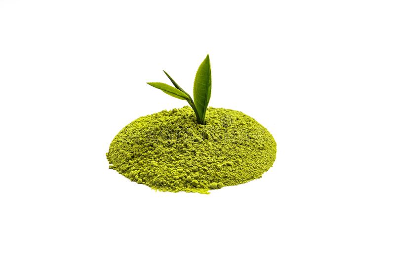 Green Tea Plant Extract, Shelf Life : 1year