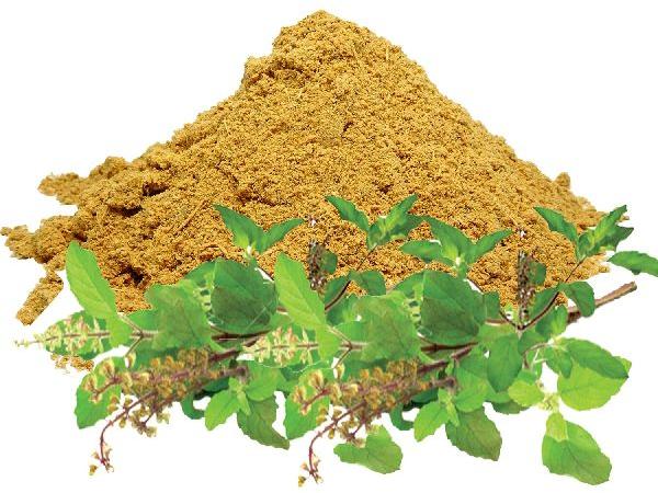 Holy Basil Extract, Feature : Nutrient Richness