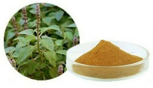 Indian Coleus Extract, for Medicinal, Food Additives, Packaging Type : Depends on Quantity