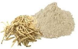 Safed Musli Extract, for Medicine Use, Purity : 100%