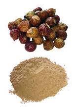 Soapnut Extract, for Medicinal, Food Additives, Form : Powder