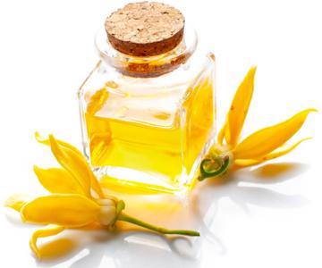 Geranyl Acetate Flowers ylang ylang oil, Packaging Size : 10 Ml, 100ml, 25ml, 500ml
