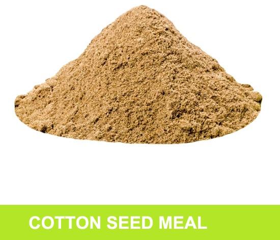 Cotton Seed Meal, Shelf Life : 12 Month