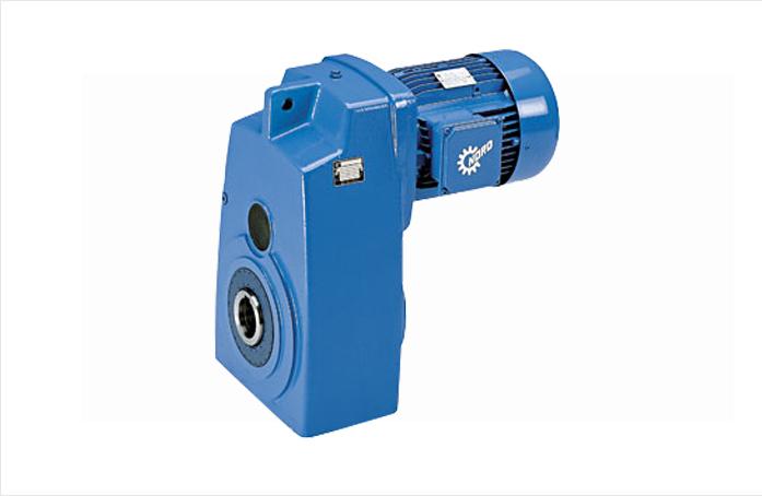 Parallel Shaft Gear Motors