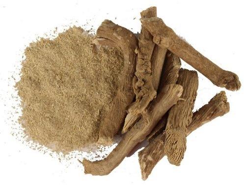 Satodi Extract Powder, Botanical Name : Boerhavia diffusa