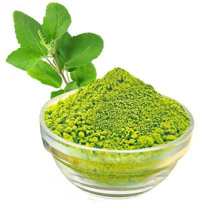 Organic Tulsi Extract Powder, Packaging Type : Plastic Packet