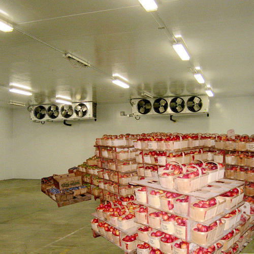 Electric Fruits Cold Storage Services, Feature : Application Specific Design, Low Maintenance Cost, Proper Functioning