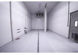 Walk in Cold Storage Services, Feature : Application Specific Design, Low Maintenance Cost, Proper Functioning