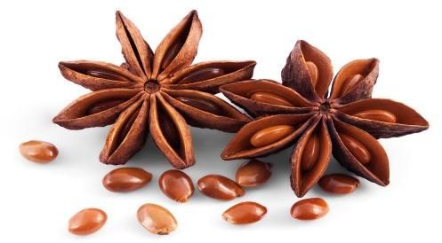 Star Anise Seeds