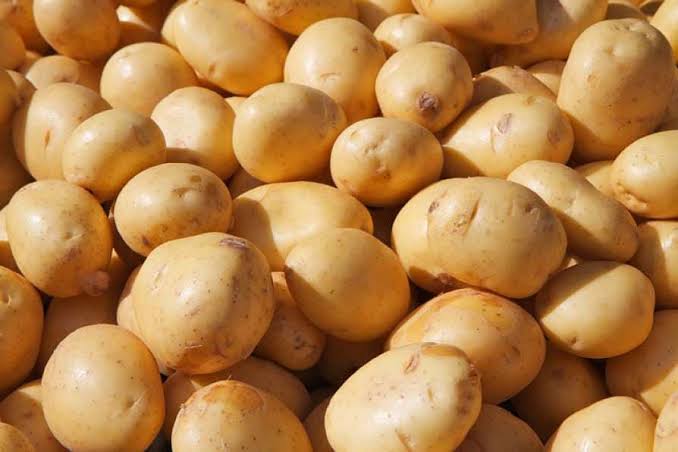 Oval Potatoes, Color : Yellow