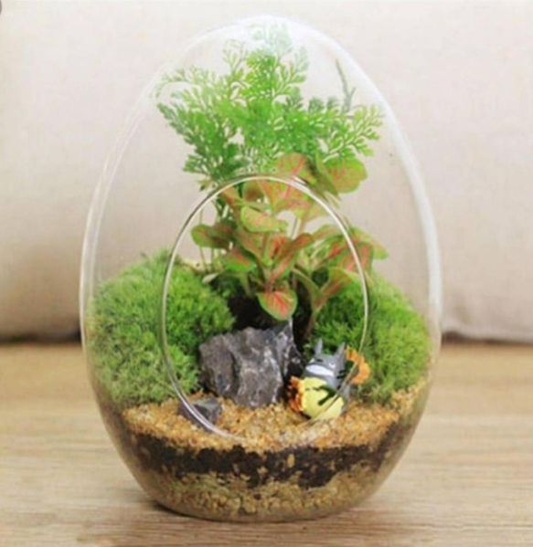 Terrarium Glass Pots