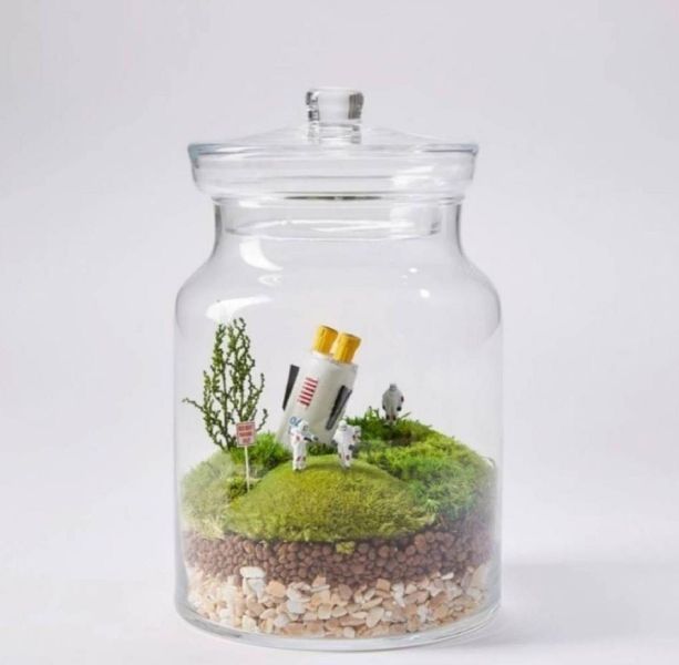 Terrarium Glass Pots