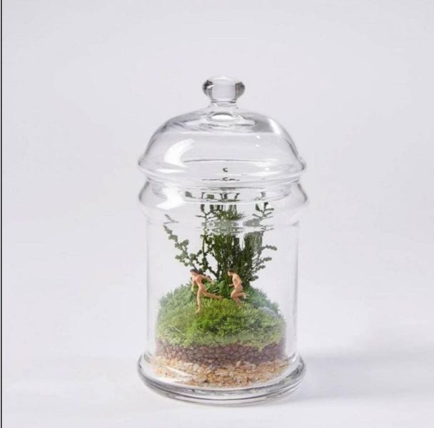 Terrarium Glass Pots