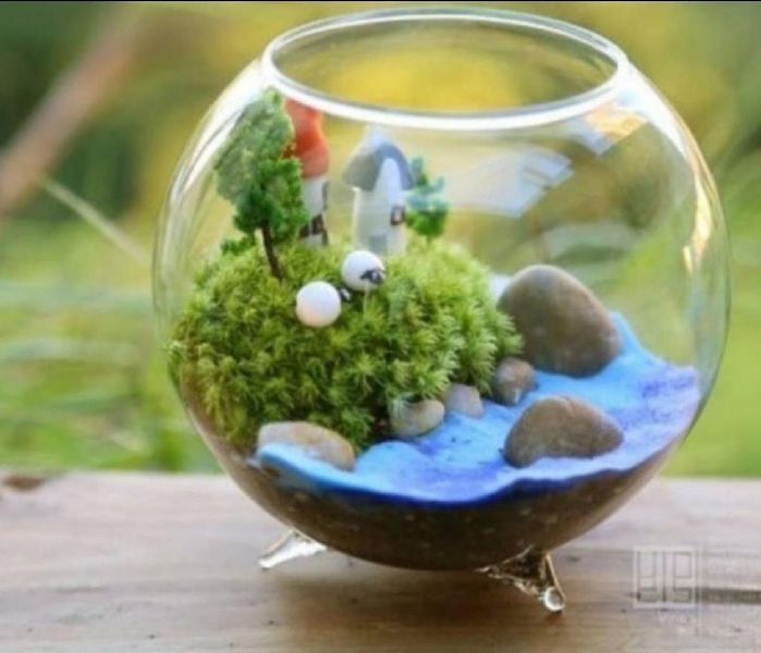 Terrarium Glass Pots