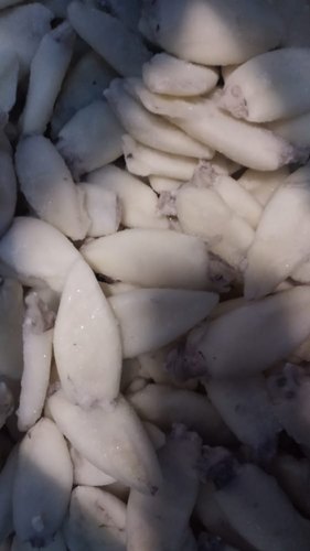 Frozen Squid Tube, Shelf Life : 18 month