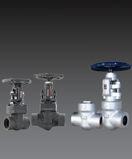 L&T forged gate & globe, check valve 50mm to 50mm
