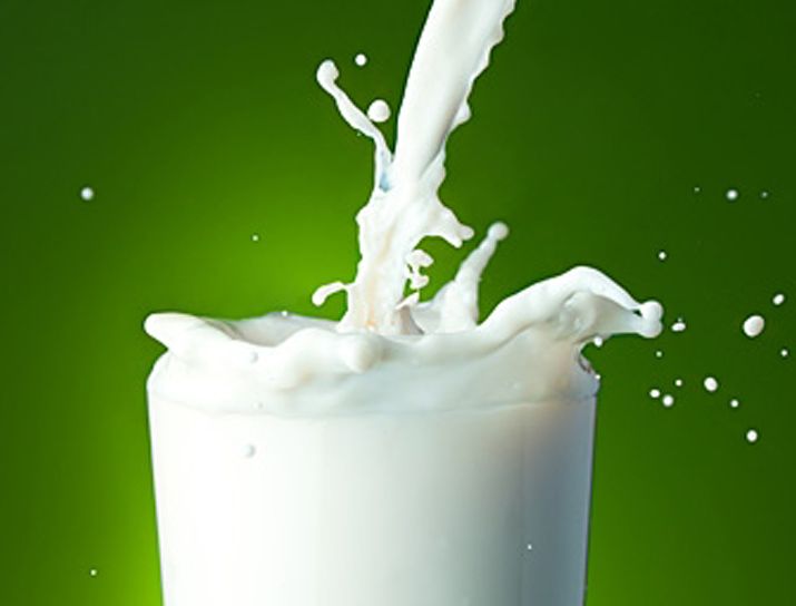 Plant Based Carbonated Milk
