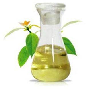 Camphor Oil,camphor oil, Feature : Improves Circulation
