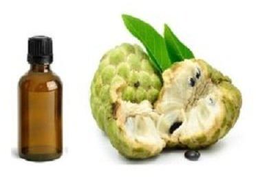 Custard Apple Seed Oil, Feature : Averts Skin Cancer, Reliable, Stretch Marks