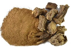 Ferula Foetida Hing Extract, Certification : FSSAI