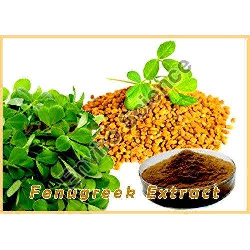 Fenugreek Extract, Form Dried at Rs 1,200 / Kilogram in Thane