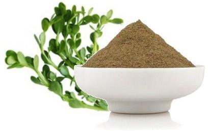 Natural Brahmi Extract, for Medicinal, Style : Dried
