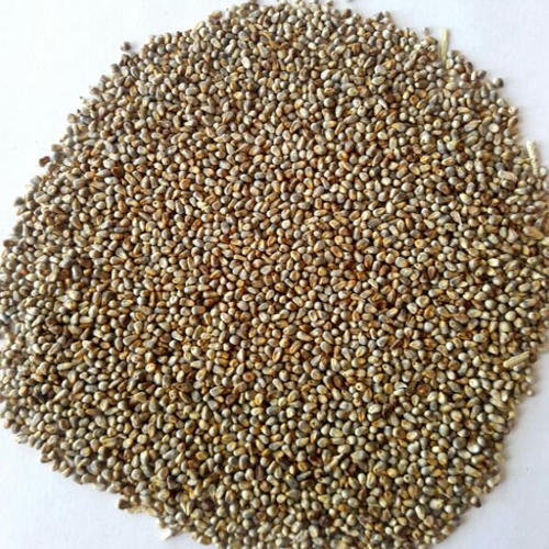 Fine Processed Millet Seeds, Variety : Hybrid