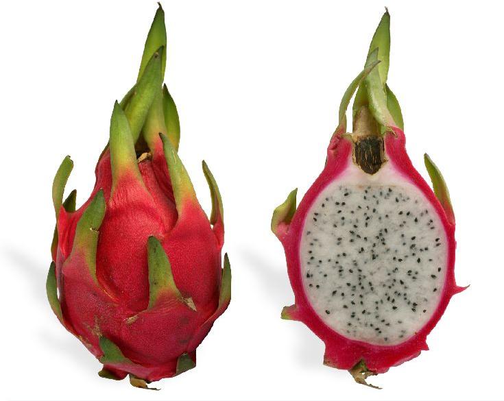 Natural Fresh Dragon Fruit, for Human Consumption, Packaging Type : Plastic Box, Paper Box