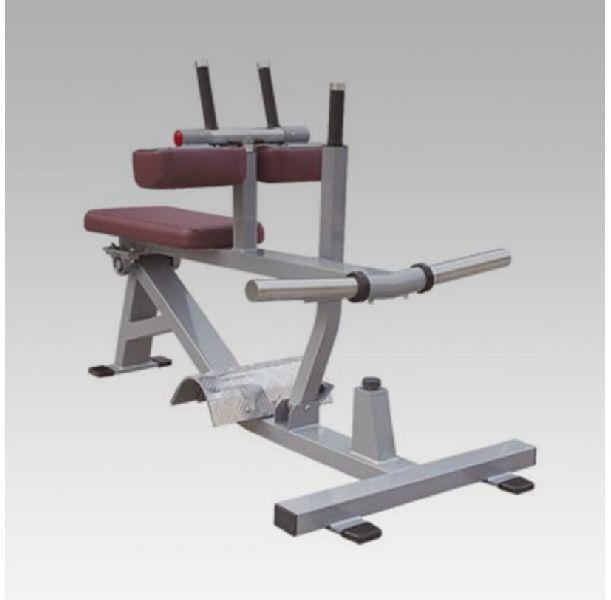 Seated Calf Machine