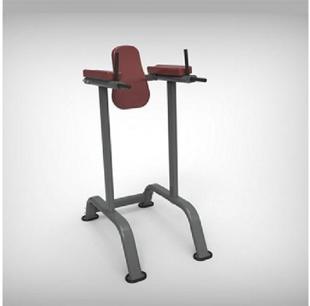 Vertical Knee Raise Machine