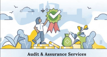 audit &amp;amp; assuarance services in India
