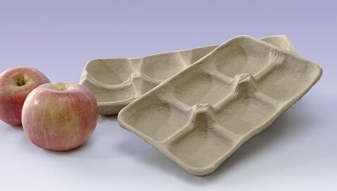 Fruit and Vegetable Trays