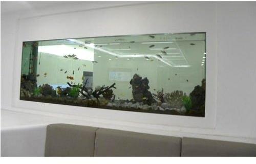 Glass Wall Mounted Fish Aquarium, Shape : Rectangular