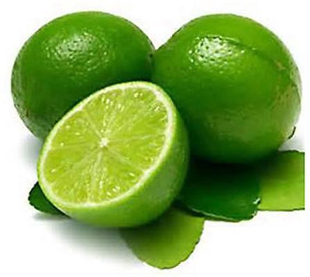 Natural Fresh Green Lemon, for Fast Food, Pickles, Packaging Type : Gunny Bag