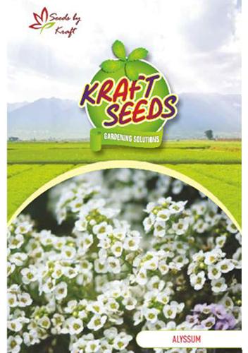Alyssum Flower Seeds, Feature : Magnificent low-growing, Wide-spreading hardy, Early to bloom .
