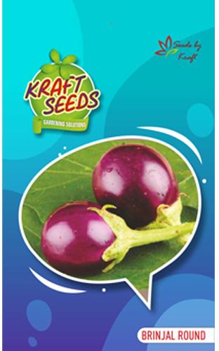 Brinjal Seeds